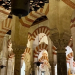 Образ великого носорога в культурных традициях и современности