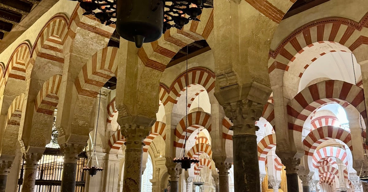 Образ великого носорога в культурных традициях и современности