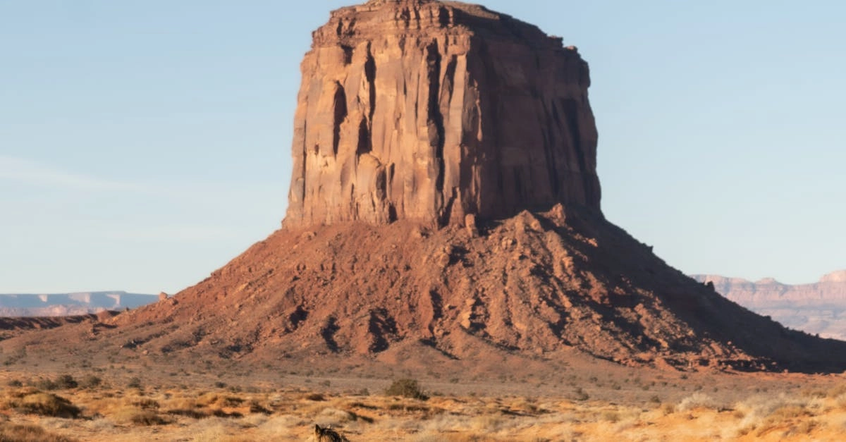 Золотая лихорадка Дикого Запада в культуре и истории